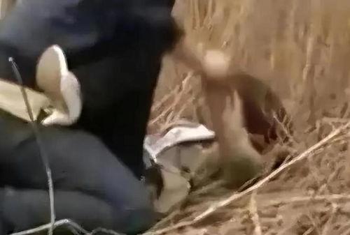 变态色魔在线观看,网络深渊中的罪恶之旅