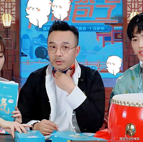 汪涵直播带货最新爆料,揭秘热门产品背后的故事